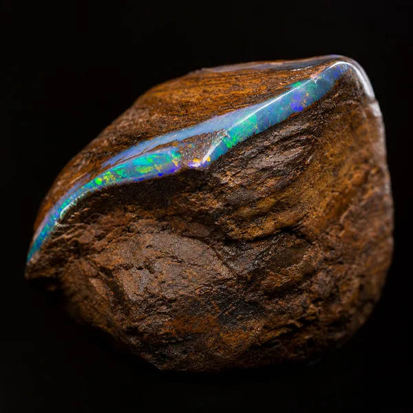 Boulder opal seam of play-of-color left attached to its brown ironstone host rock