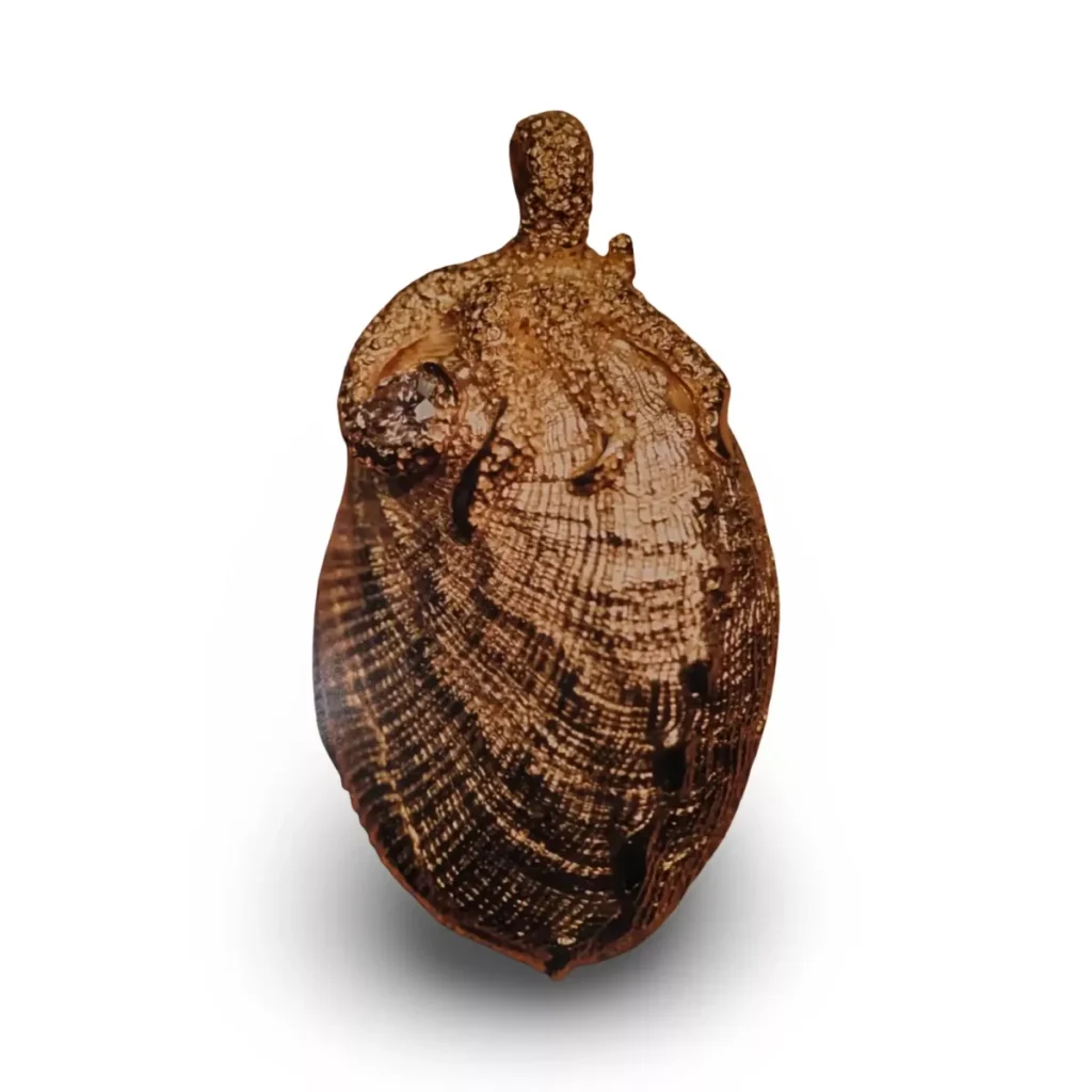 Pendant made from a whole abalone shell with a textured gold bail and diamond accent